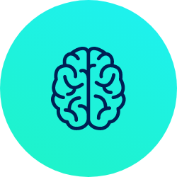 Clinical Decision Support Systems