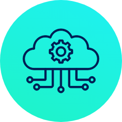 Custom Software Development 